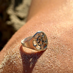 ARÆ ring