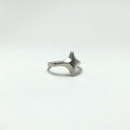 ASTRA ring 